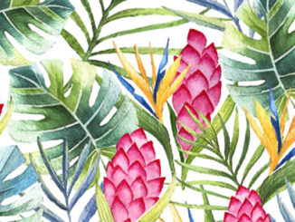 Moldes de Caixinha Tropical para Imprimir