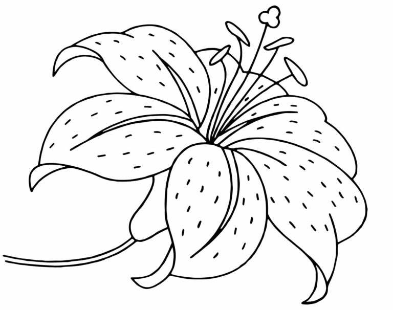 50 Desenhos De Flores Para Colorir Pop Lembrancinhas