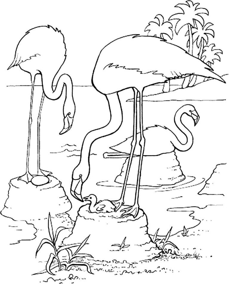 Desenhos De Flamingos Para Colorir Pop Lembrancinhas