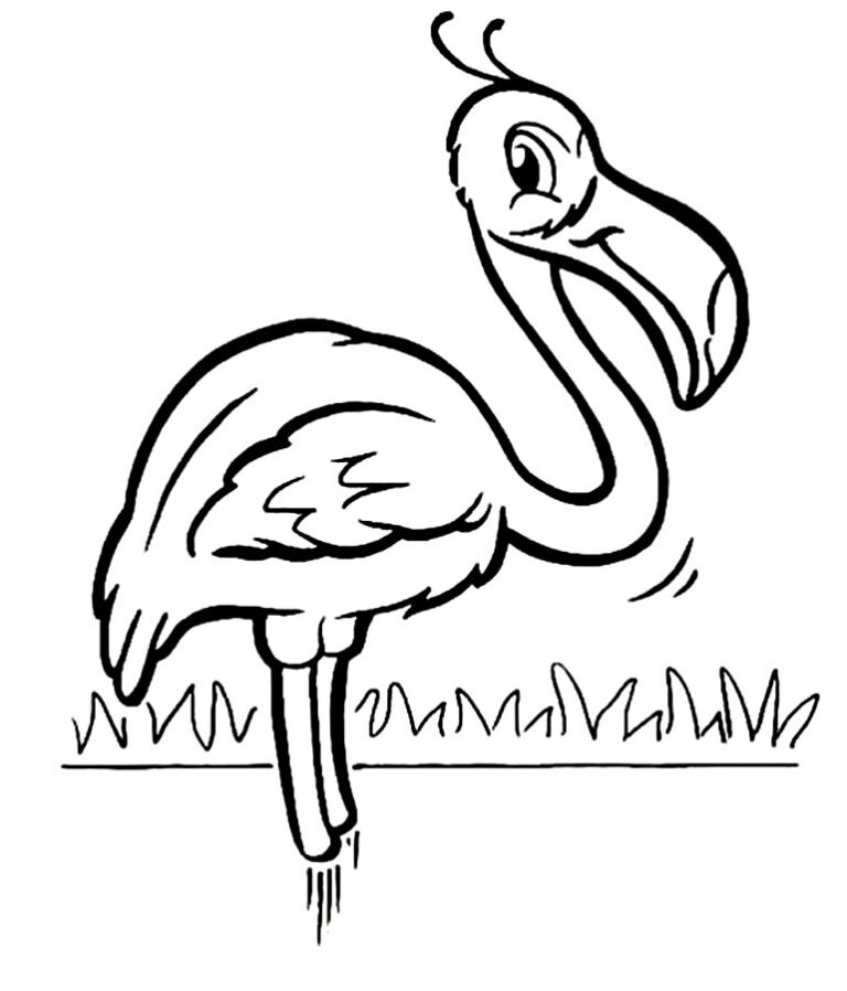 Desenhos De Flamingos Para Colorir Pop Lembrancinhas