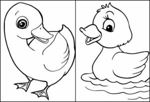 Desenhos De Pato Para Colorir Pop Lembrancinhas