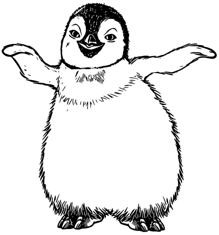 30 Desenhos De Pinguim Para Colorir Pop Lembrancinhas