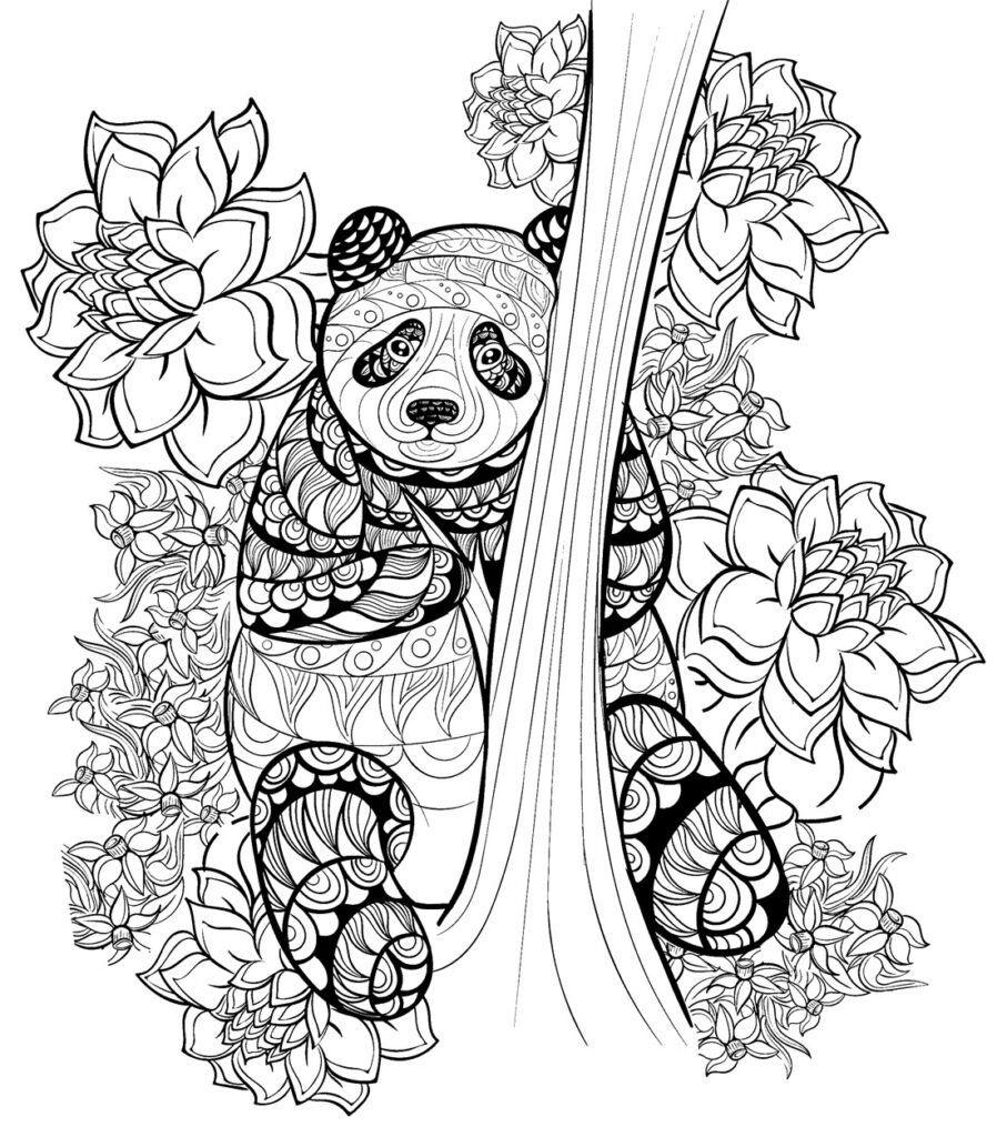 Desenhos Para Colorir De Panda Pop Lembrancinhas