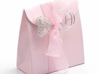 Sacolinha de papel com moldes para lembrancinha