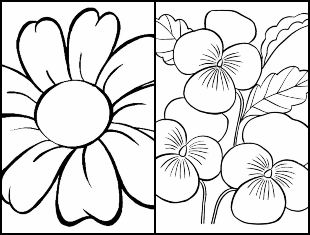 Desenhos de flores para colorir