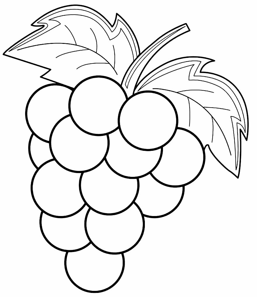Desenho de uva para pintar