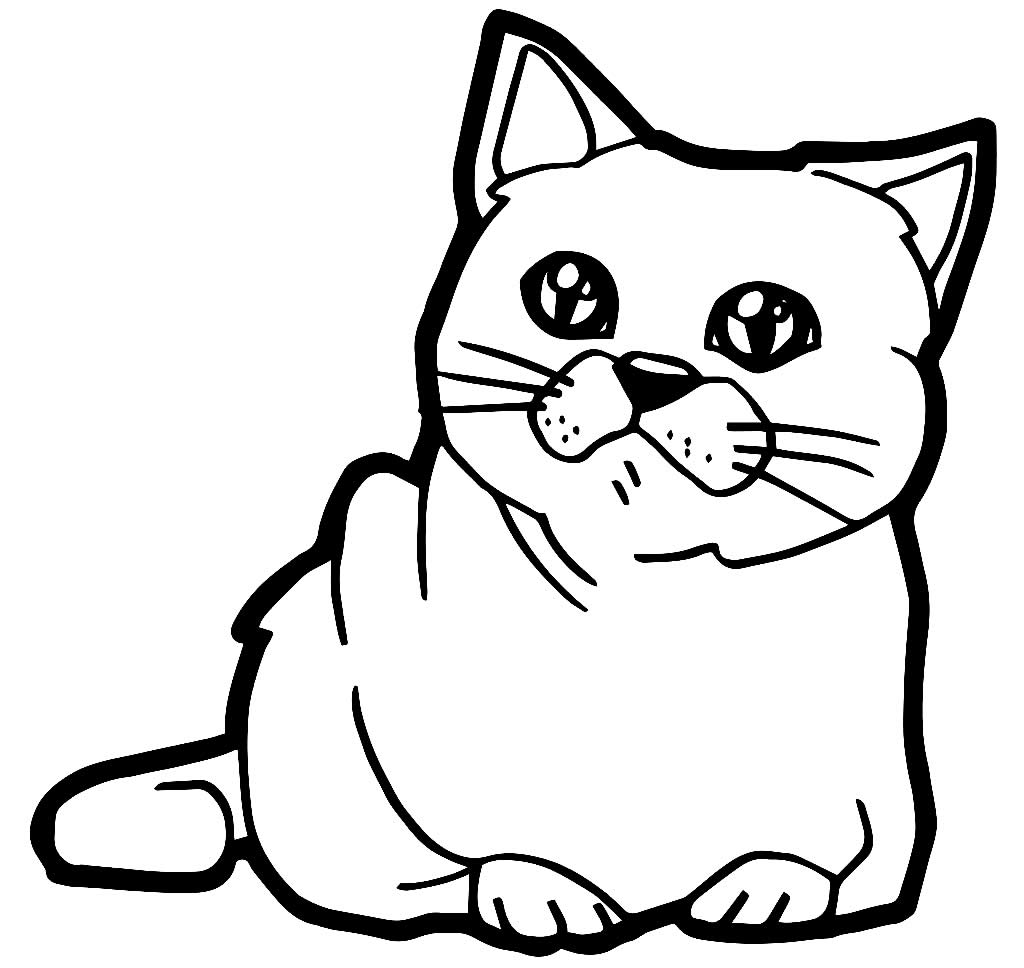 Desenho para colorir de gatinho