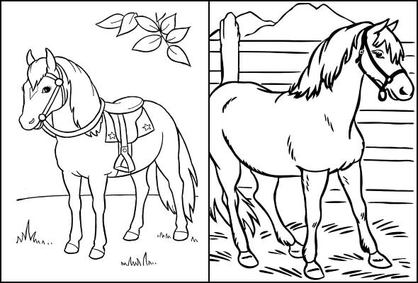 Risco, cavalo, artesanato, pintura de tecido, modelo.  Animais para  colorir, Cavalo desenho, Páginas para colorir