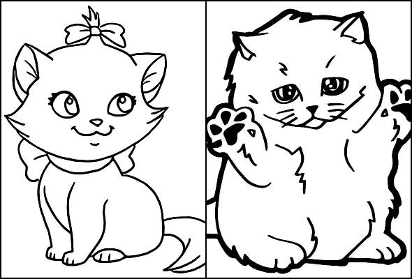 Desenhos de gatinho para colorir