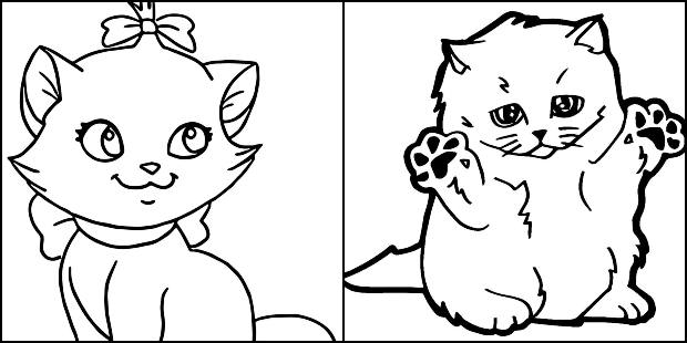 Desenhos de gatinho para colorir