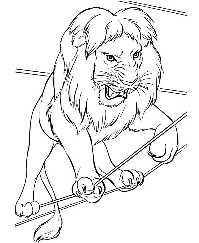 Desenho de leão para pintar