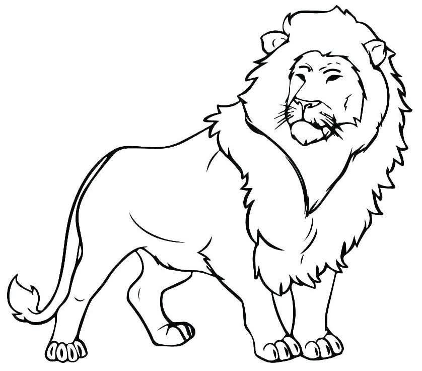 Molde de leão para colorir