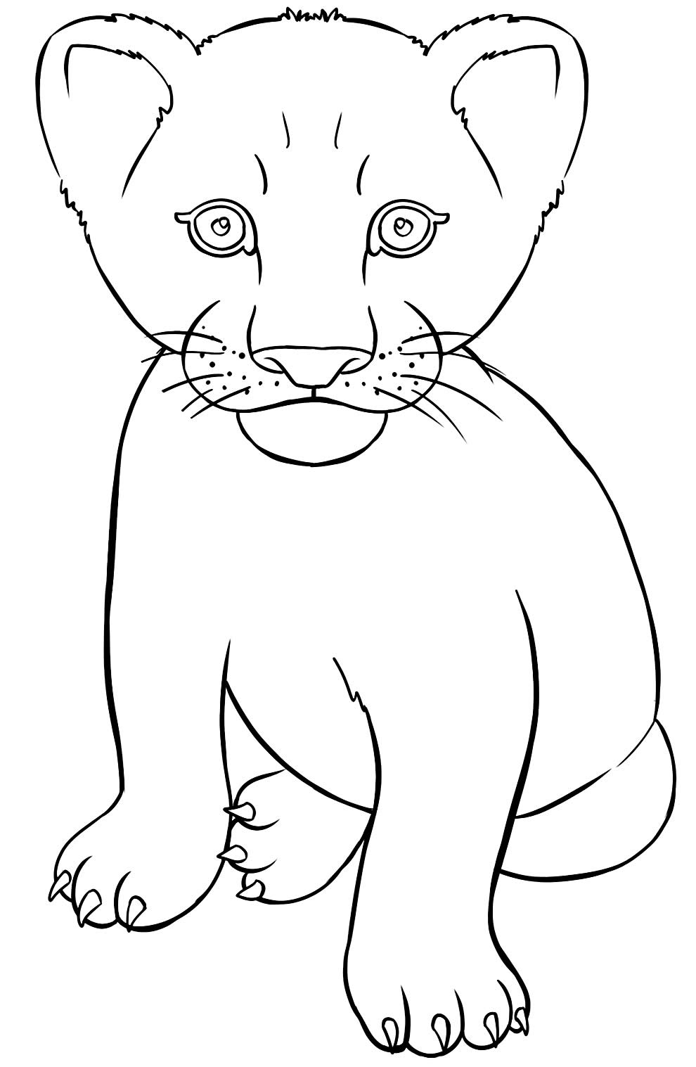 Desenho de leão bebê