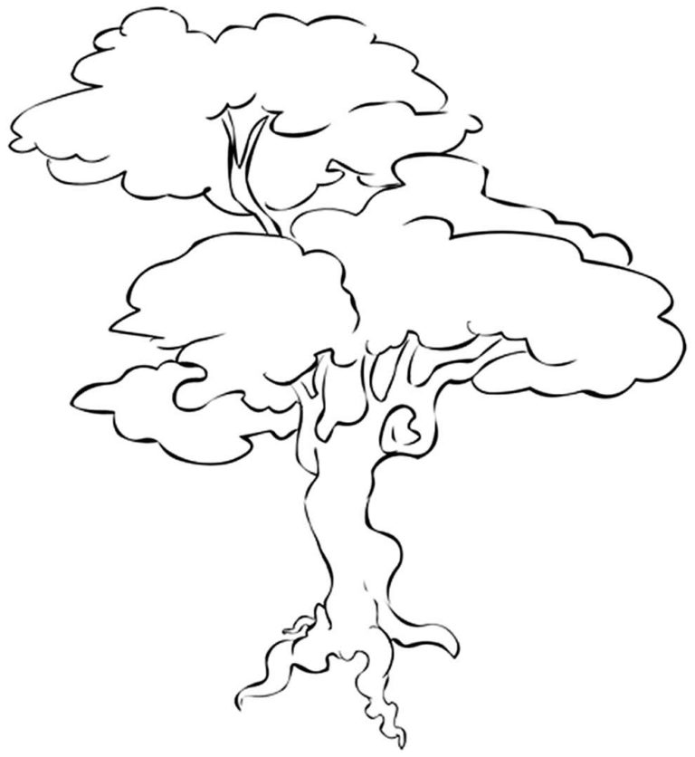 Desenhos de árvore para colorir - Pop Lembrancinhas