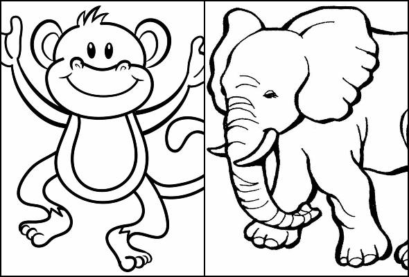 Desenhos de baleia para colorir - Pop Lembrancinhas