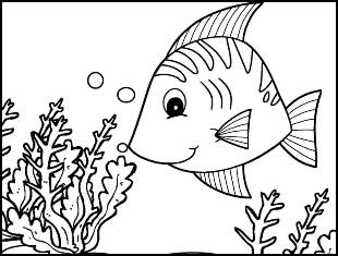 Desenhos de peixes para colorir