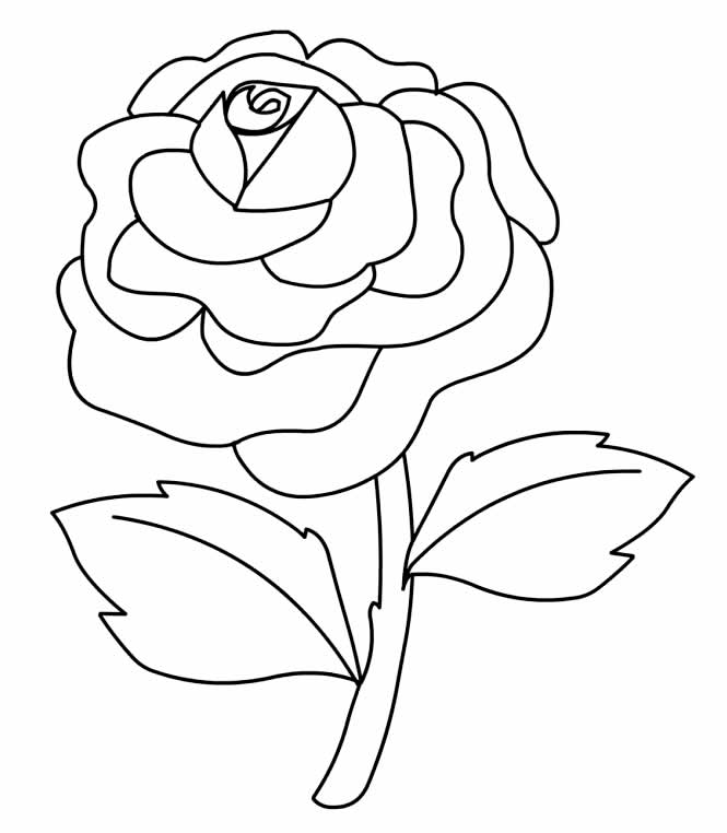 Desenho de rosa para pintar