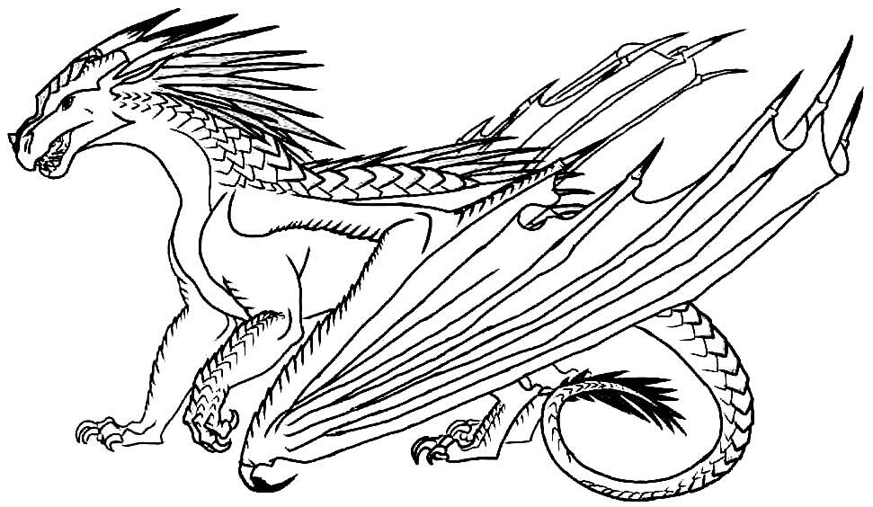 Imagem de dragão para pintar