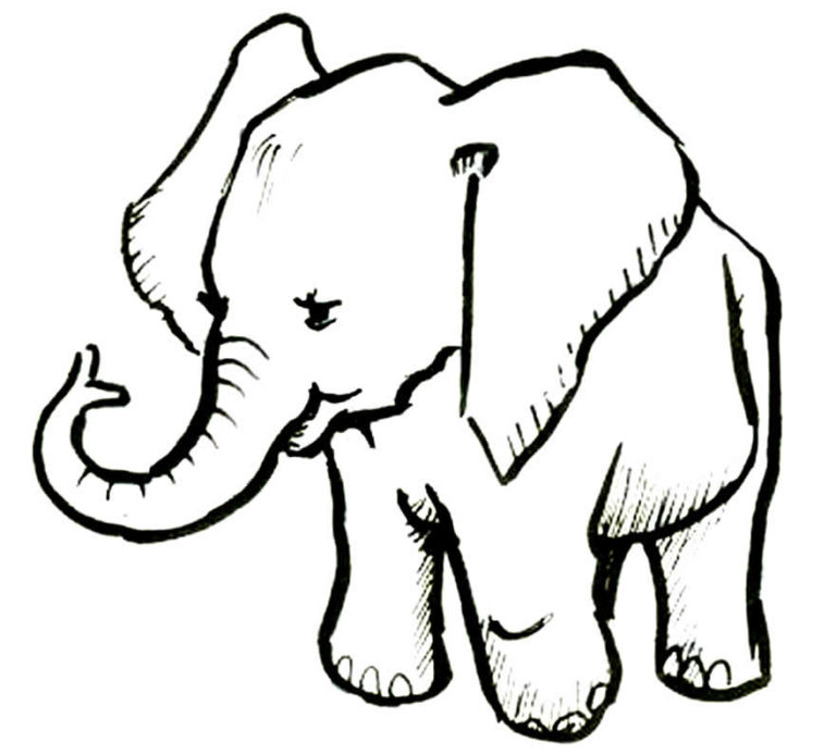 50 Desenhos De Elefante Para Colorir Pop Lembrancinhas 5590
