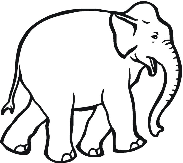 50+ Desenhos de Elefante para colorir - Pop Lembrancinhas