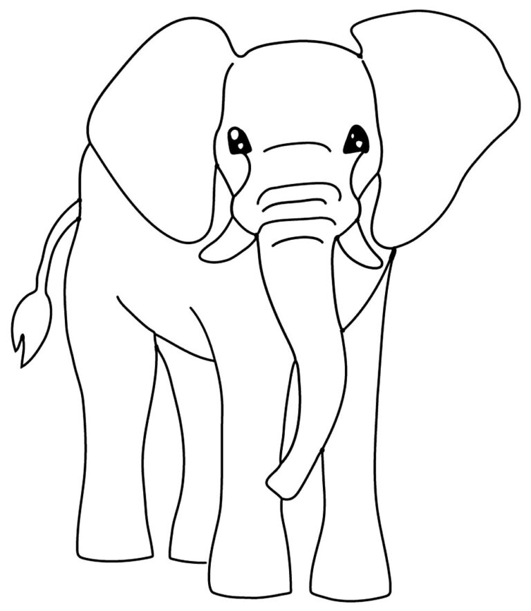 Desenhos De Elefante Para Colorir Pop Lembrancinhas