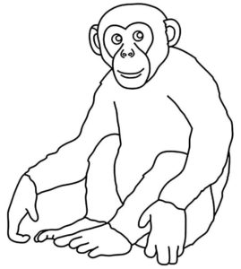 Desenhos De Macaco Para Colorir Pop Lembrancinhas