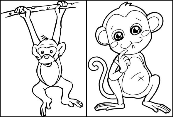 Desenho de Macaco-prego para colorir