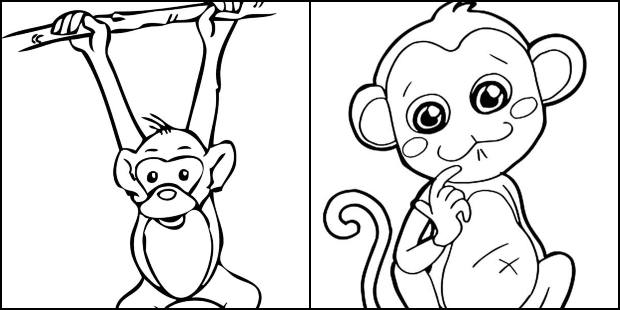 Desenhos de macaco para colorir