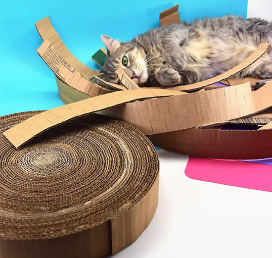 Arranhador caseiro para gatos com papelão