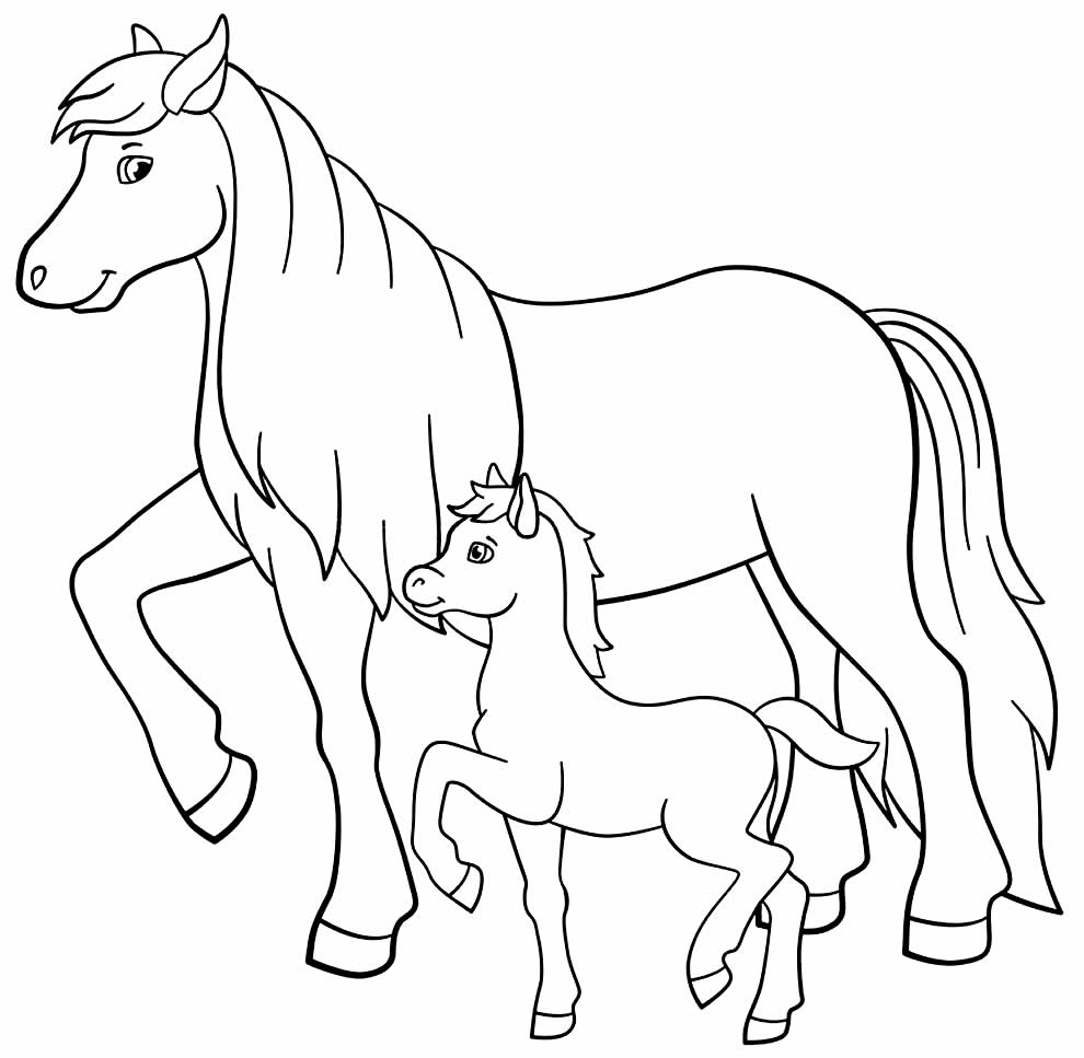 Desenho de cavalos para colorir