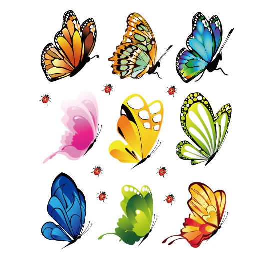 Desenho colorido de borboletas