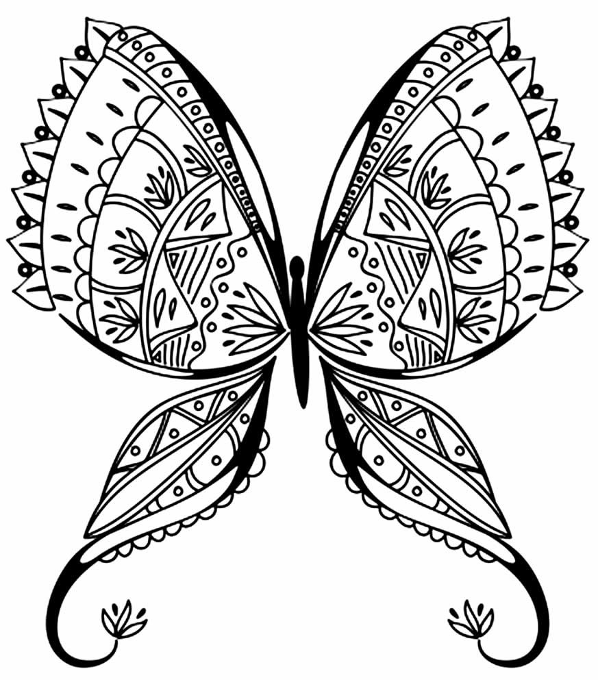Desenho de borboleta para pintar