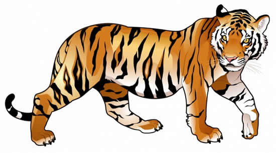 Molde Colorido de Tigre