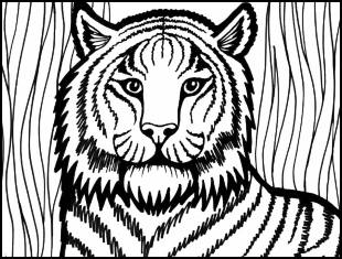Desenhos de tigre para colorir