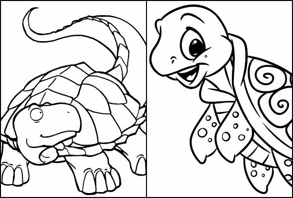 Desenhos de tartaruga para colorir