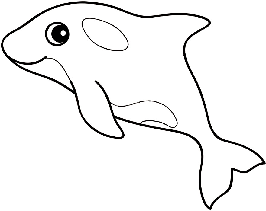 Desenhar, pintar e colorir Como desenhar uma baleia passo a passo 🐳❤️ 