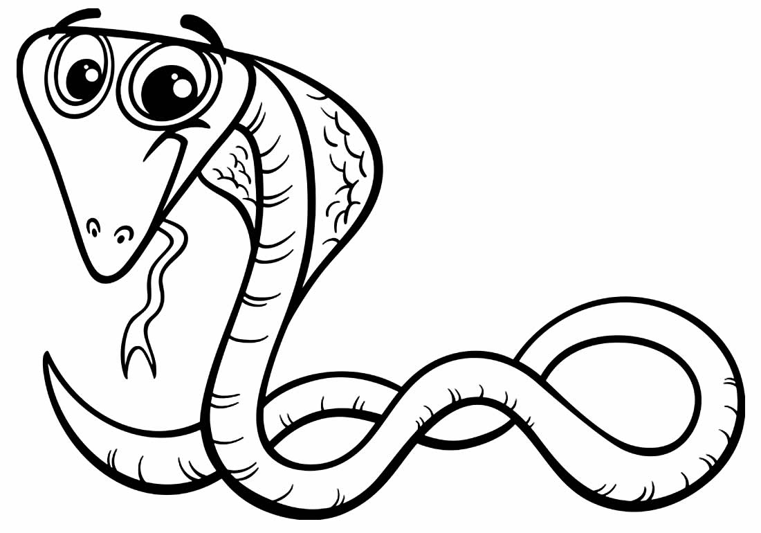 Imagem de cobra para colorir