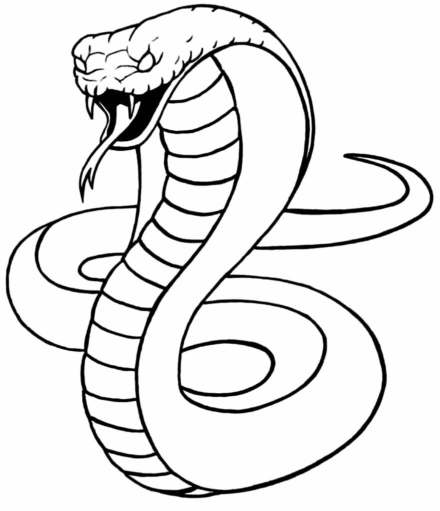 Desenho de Cobra grande para colorir - Tudodesenhos