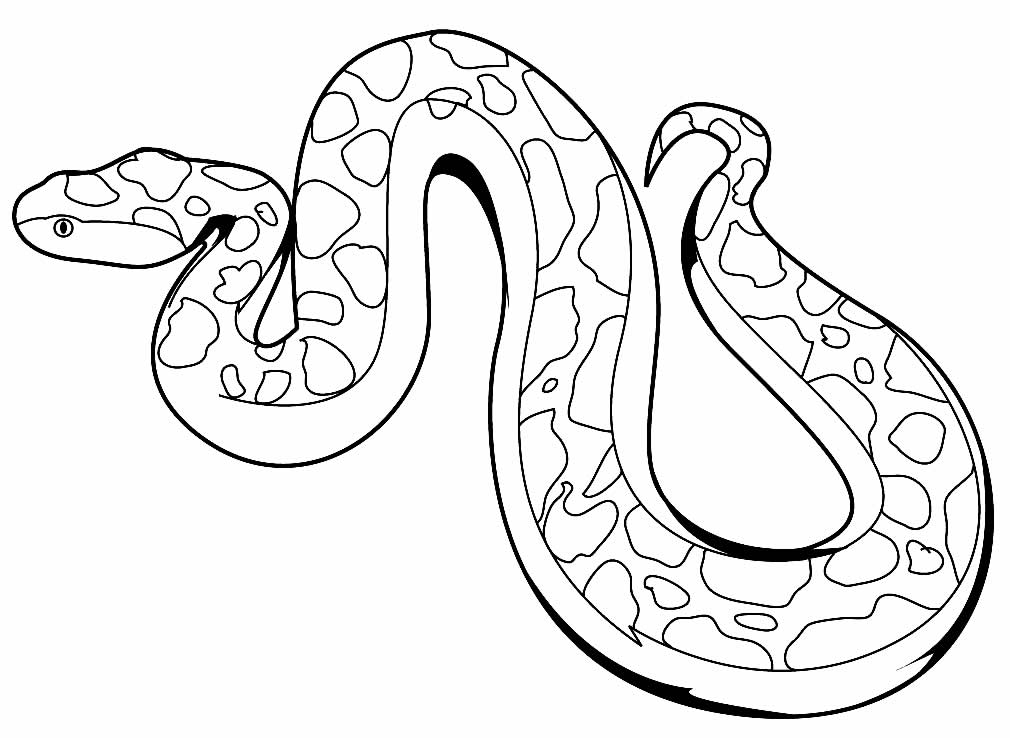 Desenho de cobra para pintar