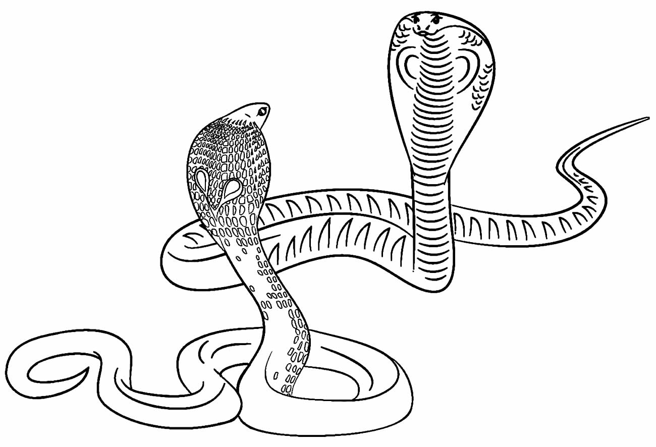 Desenho de cobras para pintar