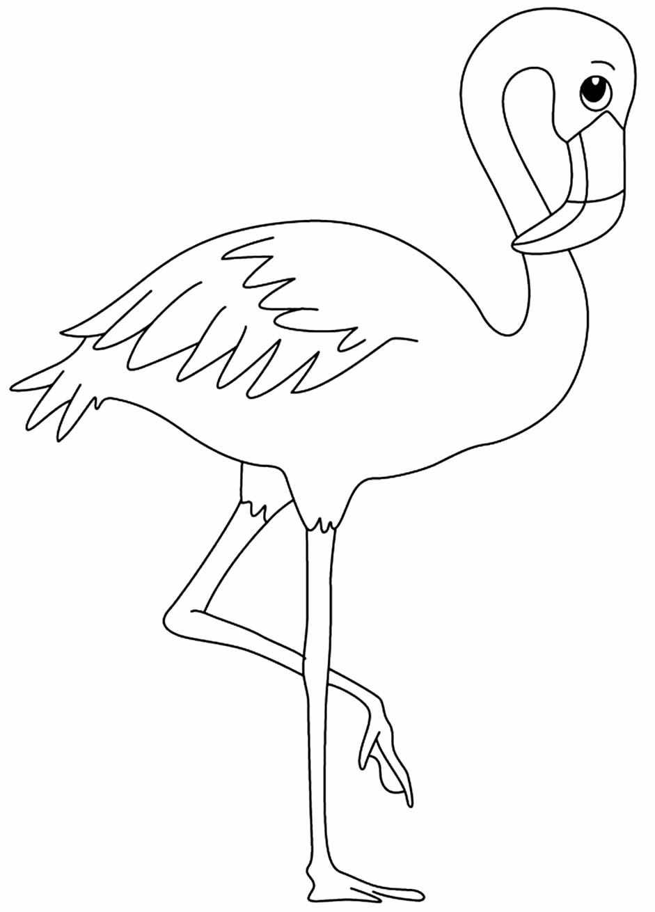 Desenho de flamingo para imprimir