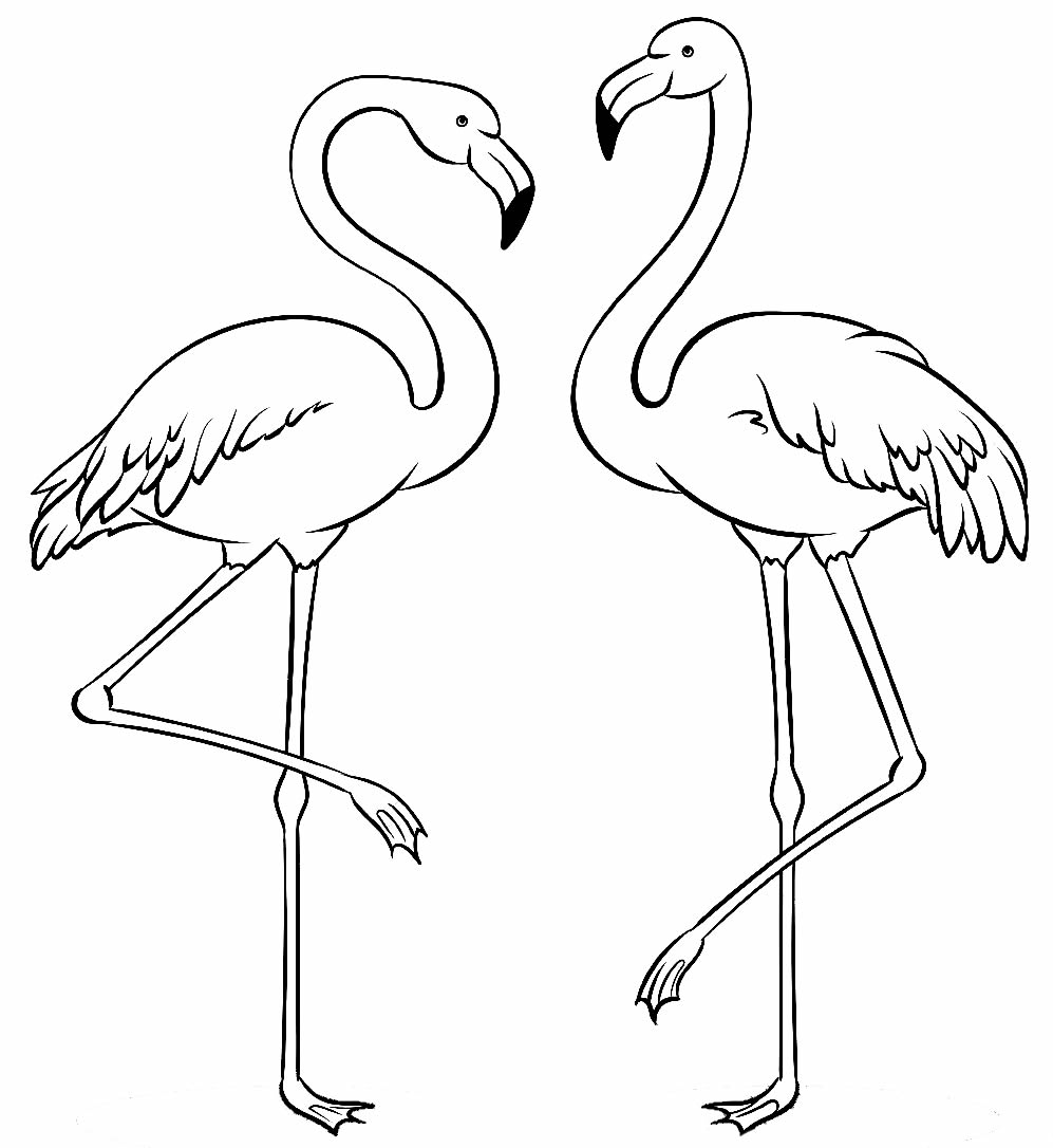 Desenho de flamingo para colorir