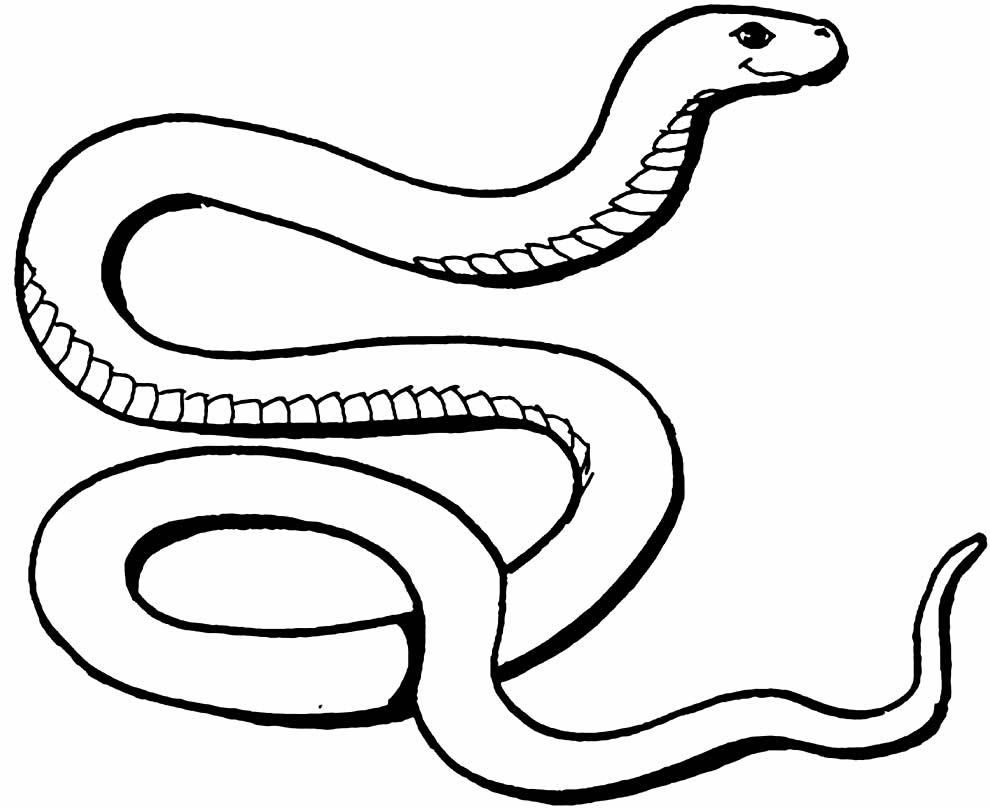 Desenho Para Colorir cobra - Imagens Grátis Para Imprimir - img 18149