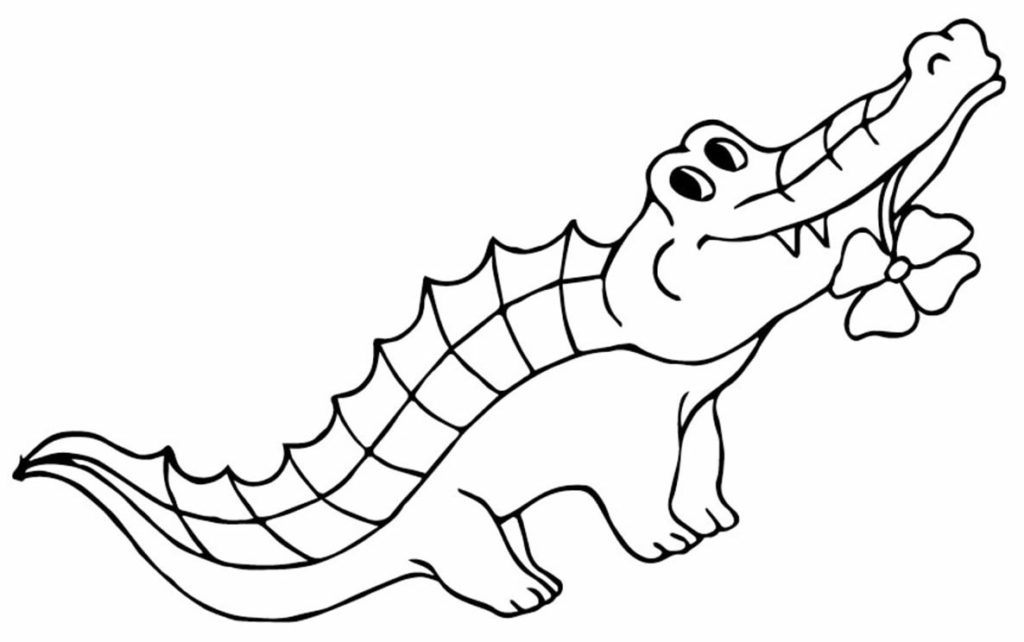 Desenhos de jacaré para colorir - Pop Lembrancinhas