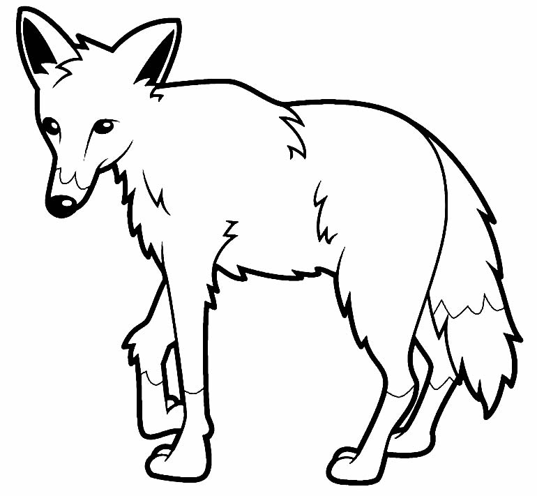 Desenho de lobo guará para colorir