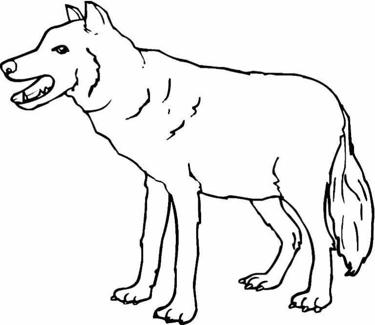 Desenhos de lobo para colorir - Pop Lembrancinhas