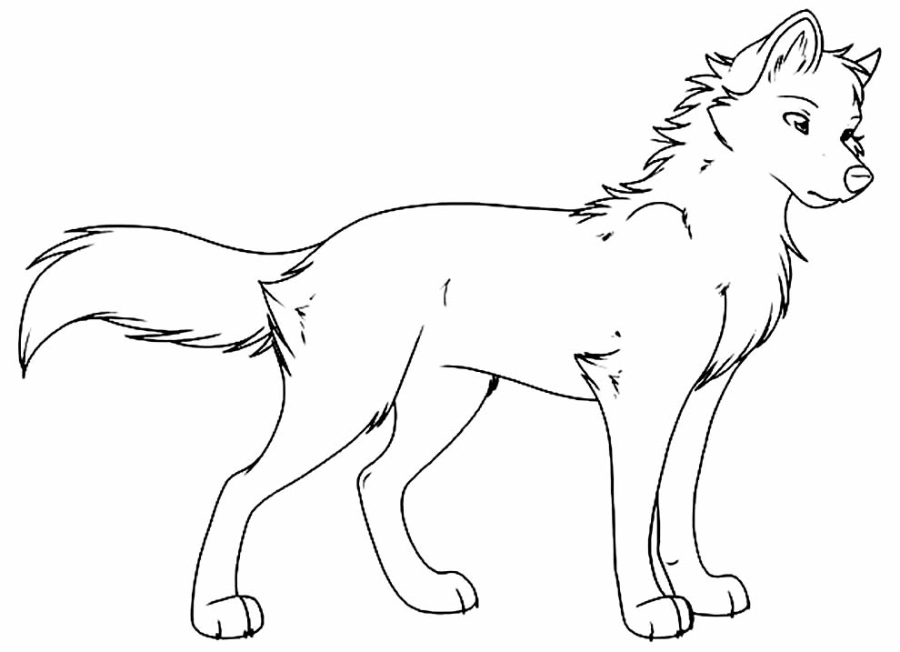 Desenho de lobo para pintar e colorir