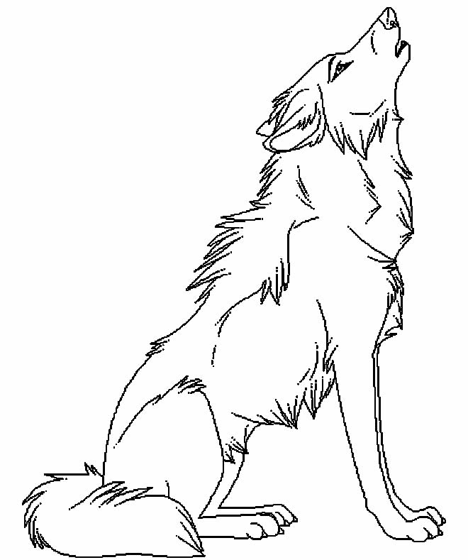 Desenho lindo de lobo