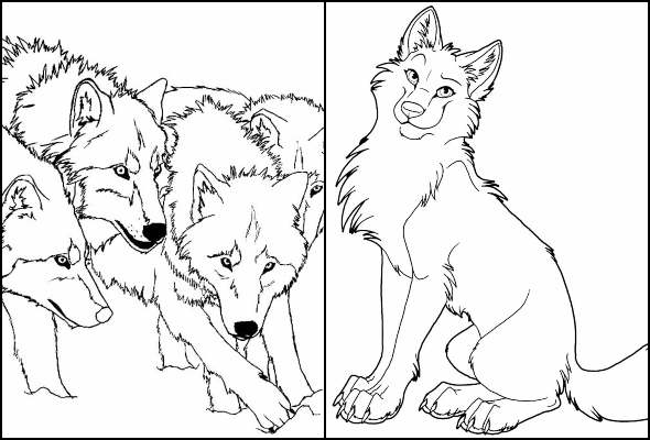 como desenhar um lobo fofo passo a passo. atividade fácil e