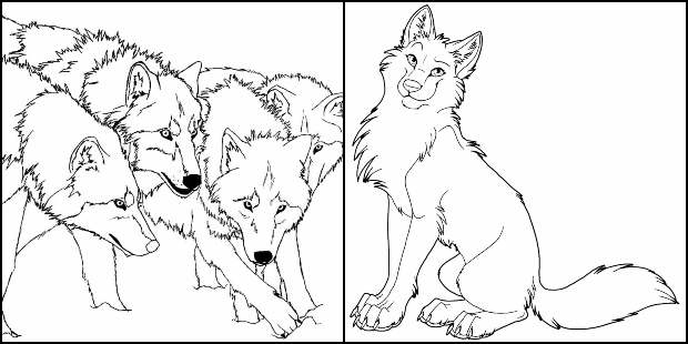 Desenhos de lobo para colorir